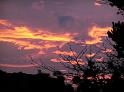 Sunset at Binning Wood